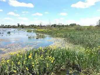 Photo de Marais de Beauchamp