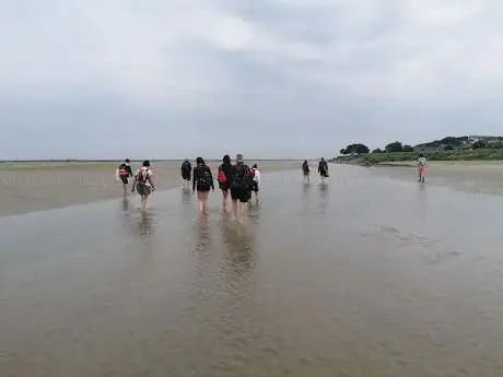 Nati'Baie - Sylvothérapie et Bains de Nature - Forêt et Baie de Somme