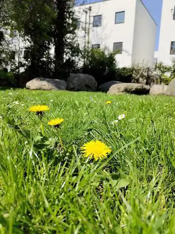 Photo de St Mary's Frobisher Park
