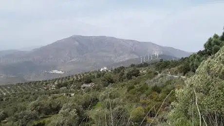 Photo de Collado Pecho del Gallego