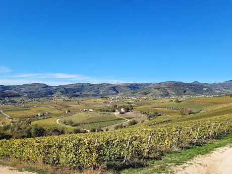 Photo de Monte Garzon