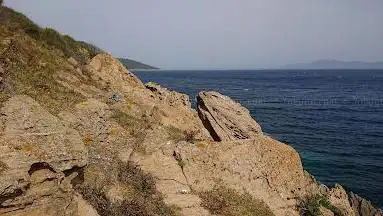 Réserve naturelle des Arbousiers - sentier nature station 11