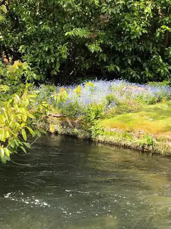 Photo de The Weirs