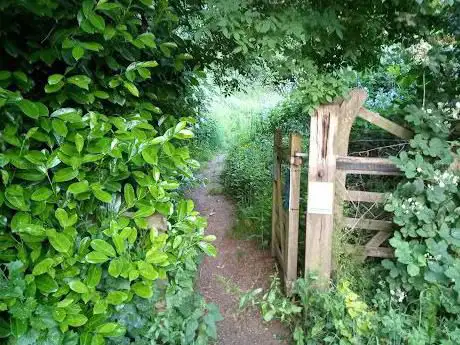 Photo de Windmill Spinney Nature Reserve