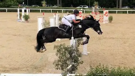 Photo de Epona Riding Club Asd
