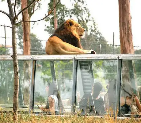 Zoo Santo Inácio