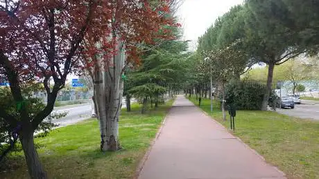 Photo de Pinos del Motocine Park