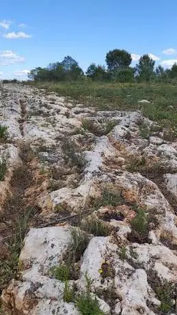 Photo de Carriladas Ibero-Romanas de l'Énova