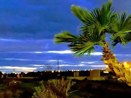 Bulevar Paseo De Andalucia