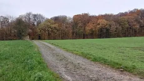 Photo de Bois de Viné