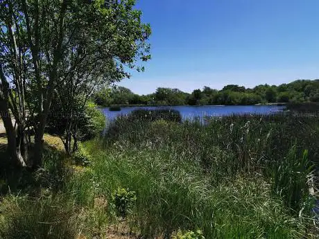 Photo de Walk Mill Clay Pit
