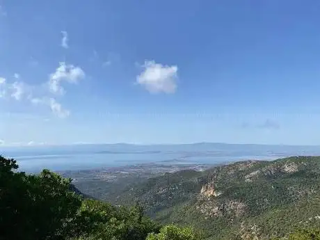 Punta pala Niedda