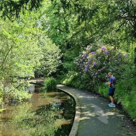 Photo de Husseywell Open Space