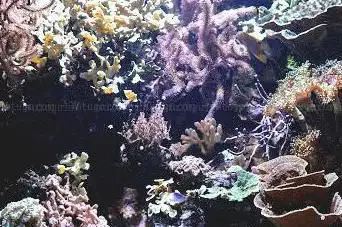 Photo de Aquarium du Limousin