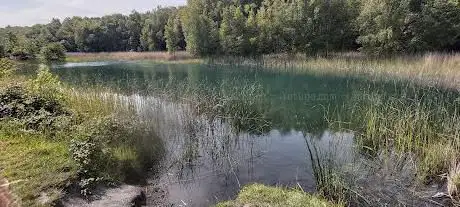 Betteshanger Country Park