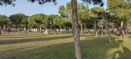 Photo de Pinar de Urtinsa