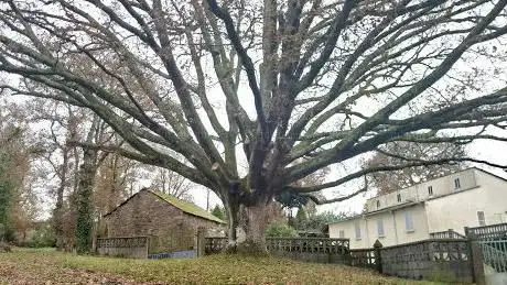 Photo de Carballo de Luxis