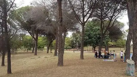 Parco pubblico