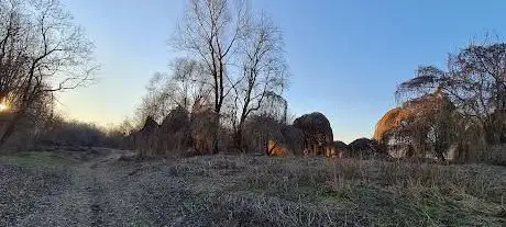 La Foresta Incantata