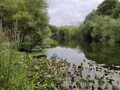 Photo de Beeston Sidings - Miniature Nature Reserve