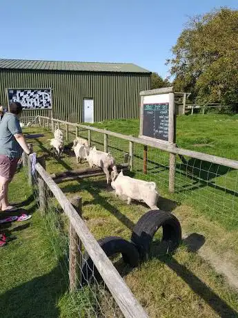 Photo de Cholderton Rare Breeds Farm