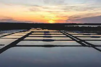Photo de Marais salants de Guérande