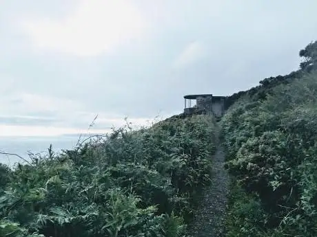 Wuzzy look out post