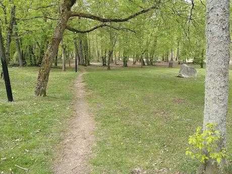 Photo de Nogent Woods
