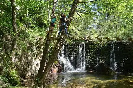 Photo de Le bois des plumes