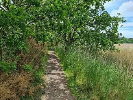 Photo de Suffolk Coast National Nature Reserve