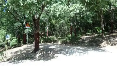 Area Picnic Is Antiogus