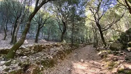 Strada Romana da grotta di Su Mannau
