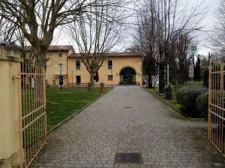 Photo de Artémisia