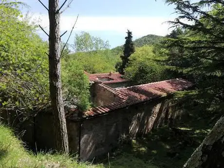 Photo de Foresta della Valle Benedetta