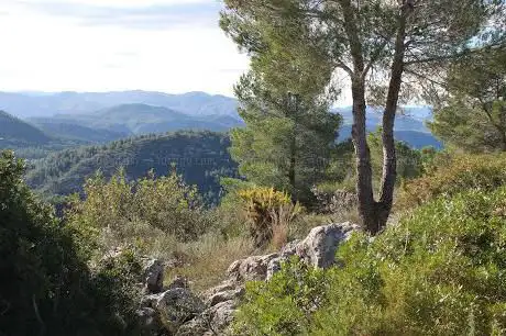 Photo de Cima COVATELLES