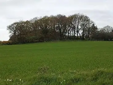 Tumulus de Saint Fiacre
