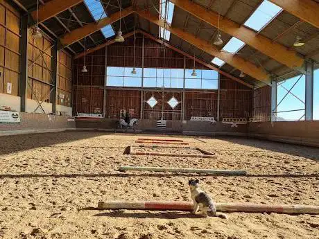 Photo de Reitstall Flying Horses