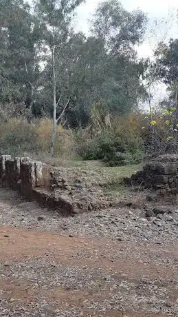 Molino del Pajarero