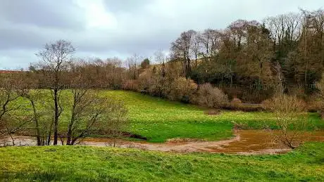 Eggesford Forest