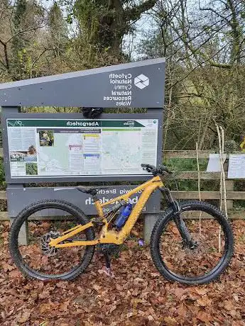 Gorlech MTB trail