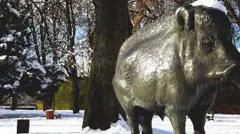 Parc Wilson