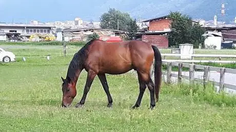 Photo de L' isola del Cavallo
