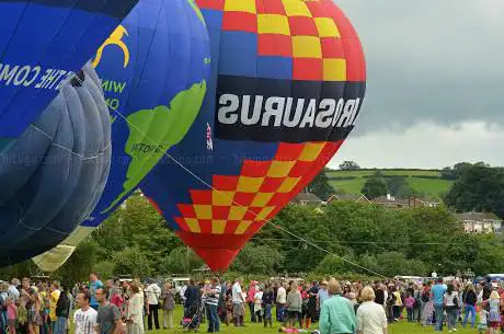 Aerosaurus Balloons