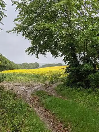Photo de Lorenzo Trail - Hare Warren