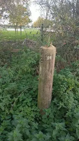 The lost post.