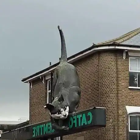 Photo de The Catford Cat