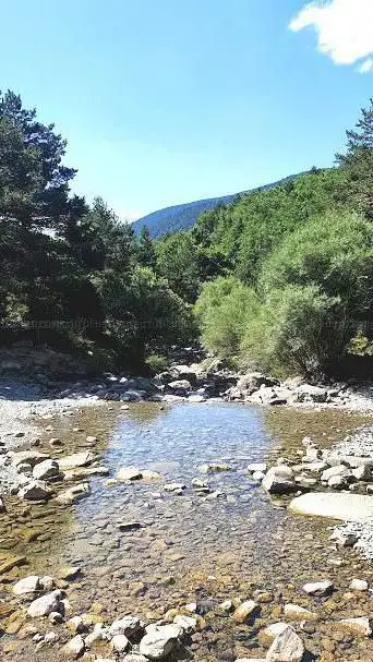 Photo de Zona Recreativa Hayedo Abi