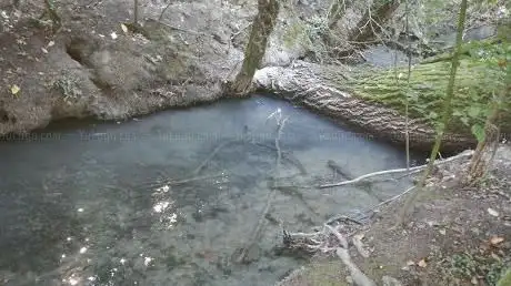 Photo de Fontanili di Viarolo