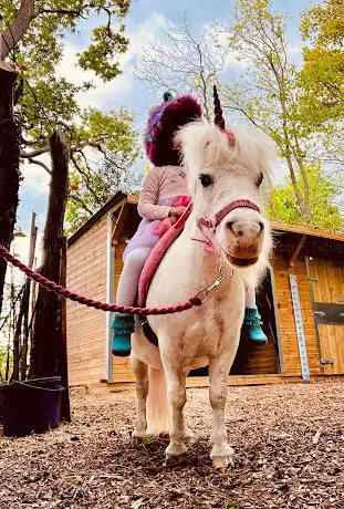 Photo de My Little Unicorn