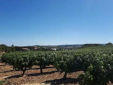 Photo de 1 Chemin Duvignoble